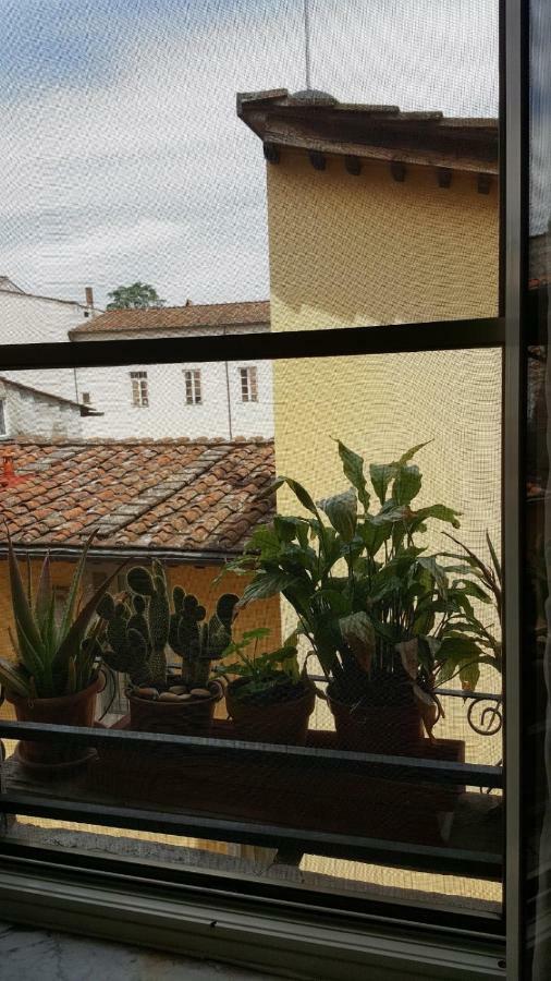 Mavi'S Bedrooms Lucca Exteriör bild